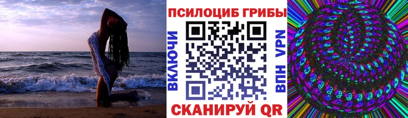 OMG вход  Борисоглебск  Галлюциногенные грибы Magic Shrooms 